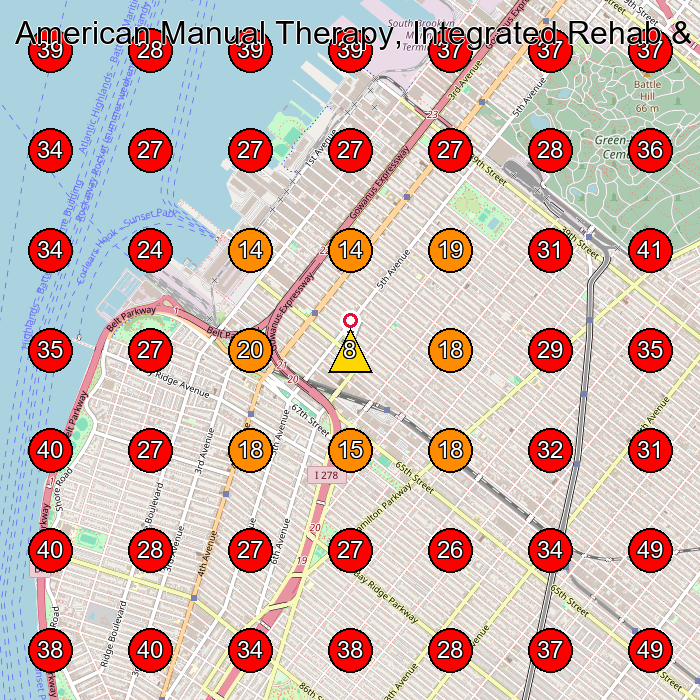 American Manual Therapy, Integrated Rehab & Physical Therapy GeoGrid visibility map for Physical Therapy Clinic in Brooklyn